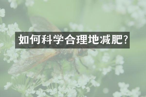 如何科学合理地减肥?