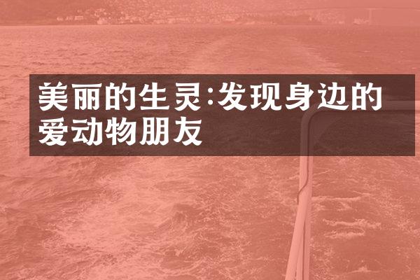 美丽的生灵:发现身边的可爱动物朋友