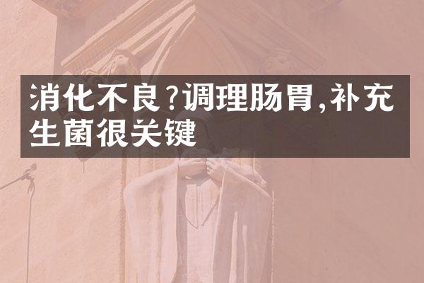 消化不良?调理肠胃,补充益生菌很关键