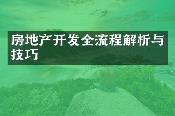 房地产开发全流程解析与技巧