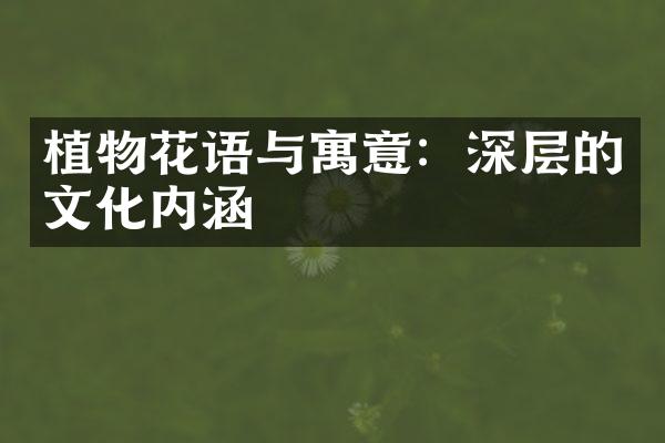 植物花语与寓意：深层的文化内涵