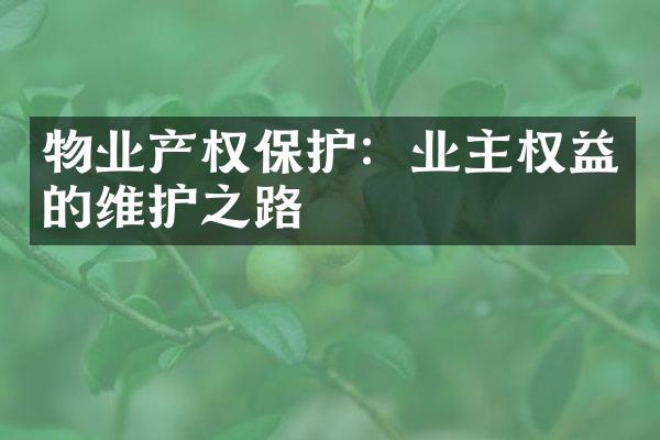 物业产权保护：业主权益的维护之路