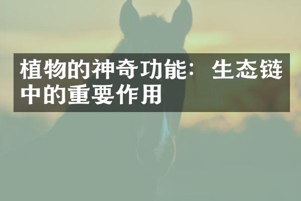 植物的神奇功能：生态链中的重要作用