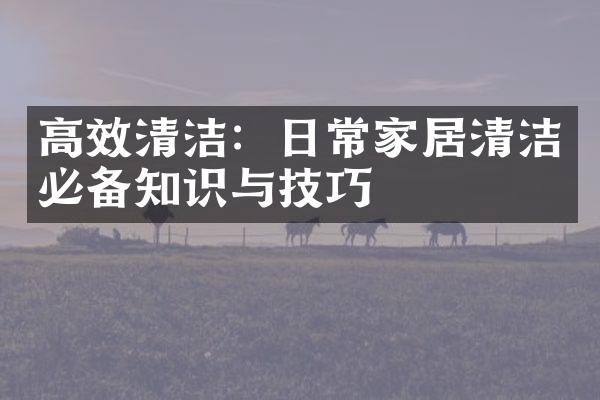 高效清洁：日常家居清洁必备知识与技巧