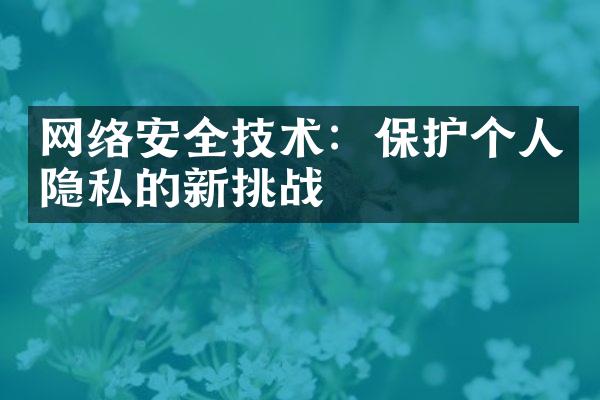 网络安全技术：保护个人隐私的新挑战