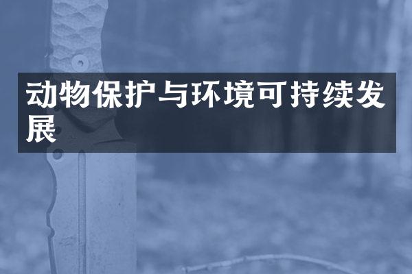 动物保护与环境可持续发展