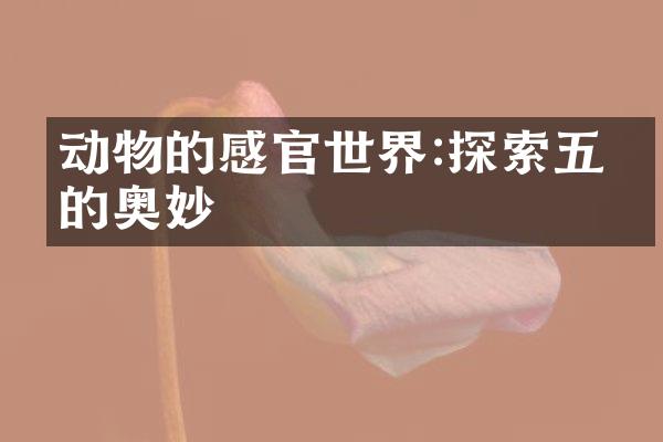 动物的感官世界:探索五感的奥妙