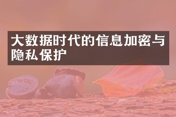 大数据时代的信息加密与隐私保护