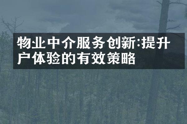 物业中介服务创新:提升客户体验的有效策略