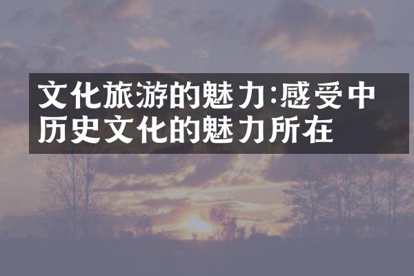 文化旅游的魅力:感受中国历史文化的魅力所在
