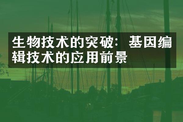 生物技术的突破：基因编辑技术的应用前景