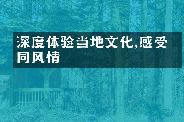 深度体验当地文化,感受不同风情