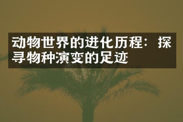 动物世界的进化历程：探寻物种演变的足迹