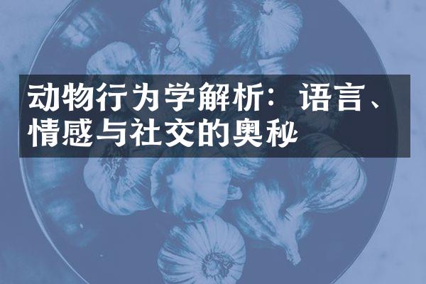 动物行为学解析：语言、情感与社交的奥秘