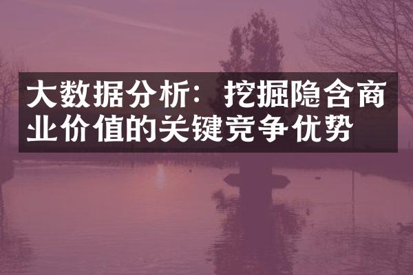 大数据分析：挖掘隐含商业价值的关键竞争优势