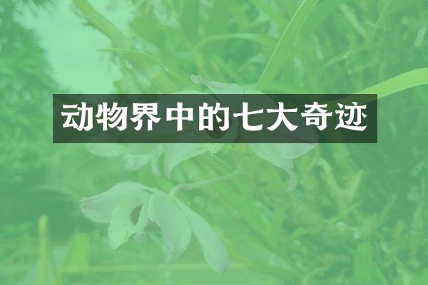 动物界中的七大奇迹