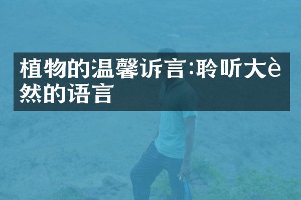植物的温馨诉言:聆听大自然的语言