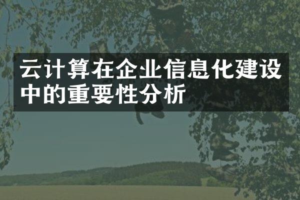 云计算在企业信息化建设中的重要性分析