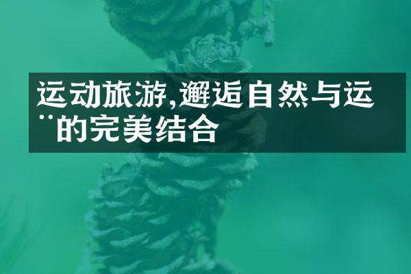 运动旅游,邂逅自然与运动的完美结合