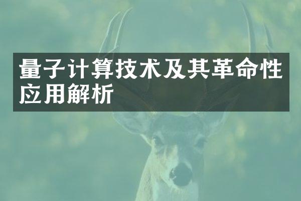 量子计算技术及其革命性应用解析