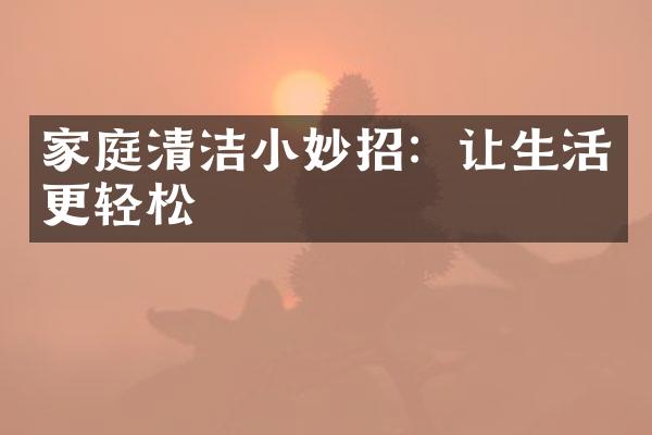 家庭清洁小妙招：让生活更轻松