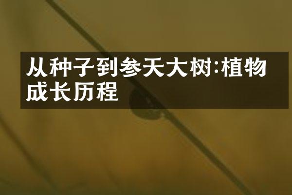 从种子到参天大树:植物的成长历程