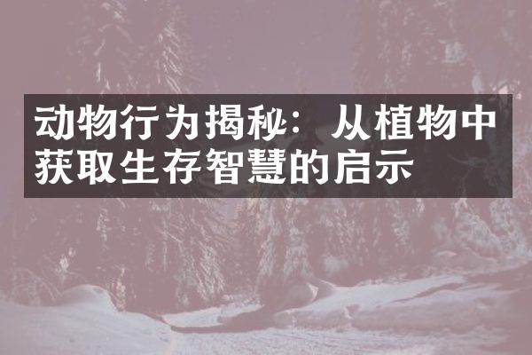 动物行为揭秘：从植物中获取生存智慧的启示
