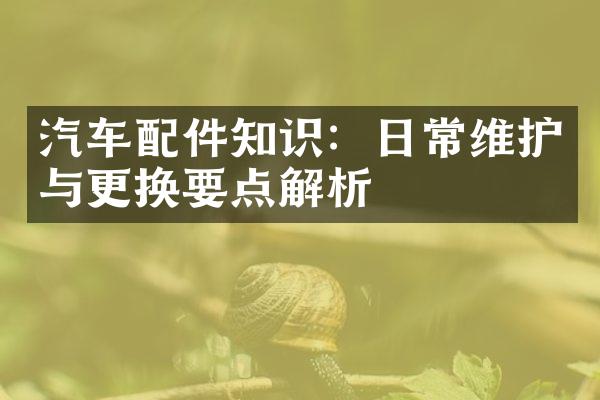 汽车配件知识：日常维护与更换要点解析