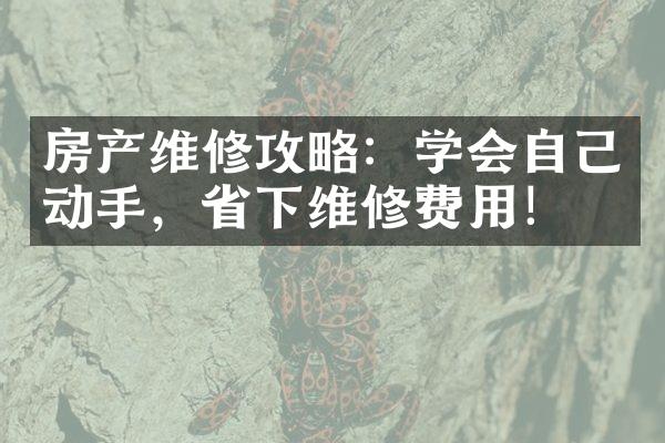 房产维修攻略：学会自己动手，省下维修费用！