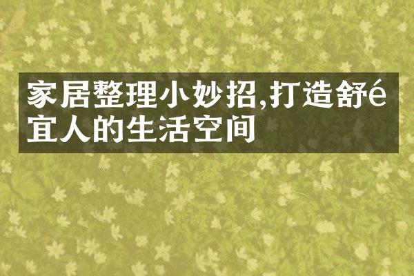 家居整理小妙招,打造舒适宜人的生活空间