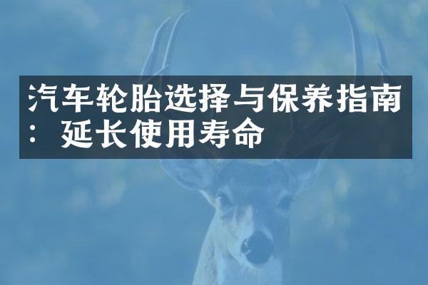 汽车轮胎选择与保养指南：延长使用寿命