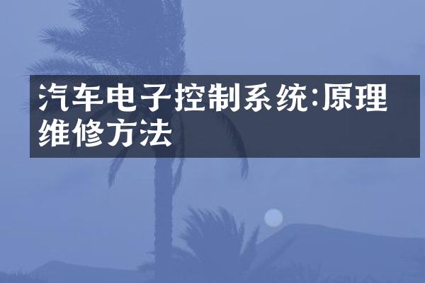 汽车电子控制系统:原理和维修方法