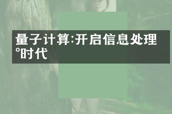 量子计算:开启信息处理新时代