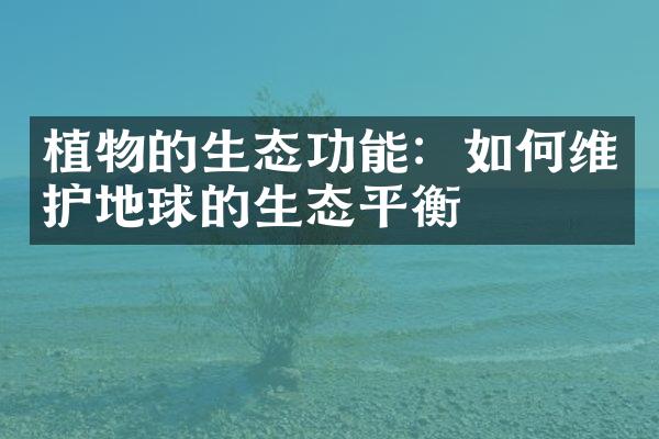 植物的生态功能：如何维护地球的生态平衡