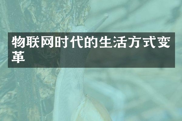 物联网时代的生活方式变革