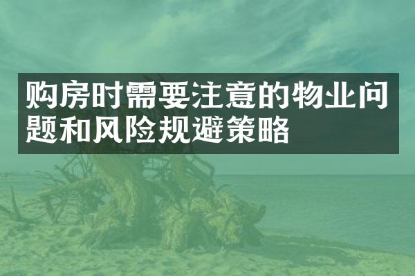 购房时需要注意的物业问题和风险规避策略