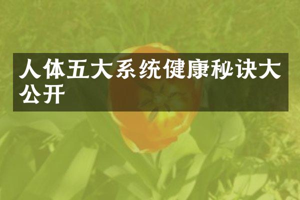 人体五大系统健康秘诀大公开