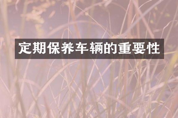 定期保养车辆的重要性