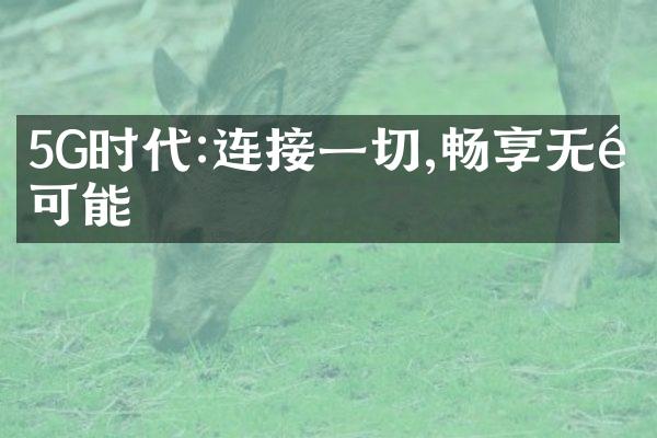 5G时代:连接一切,畅享无限可能