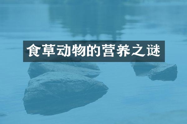 食草动物的营养之谜