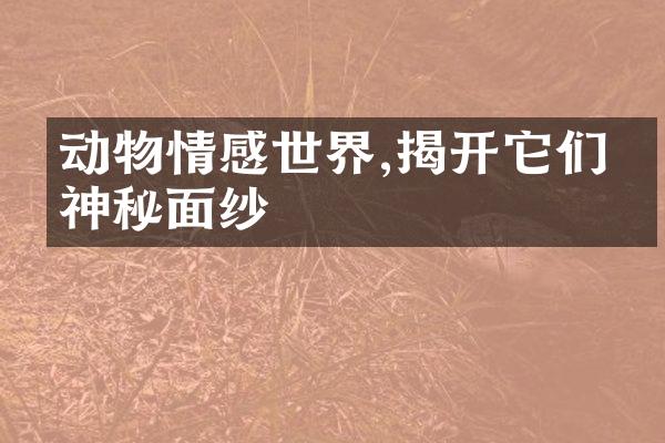 动物情感世界,揭开它们的神秘面纱