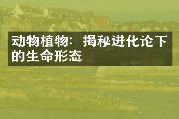 动物植物：揭秘进化论下的生命形态