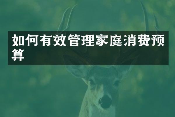 如何有效管理家庭消费预算