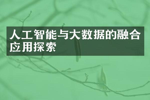 人工智能与大数据的融合应用探索