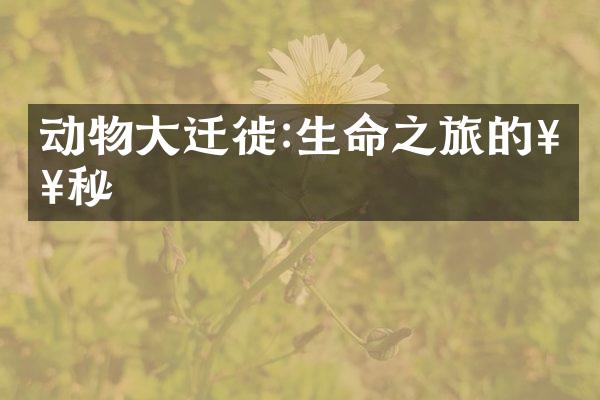 动物大迁徙:生命之旅的奥秘