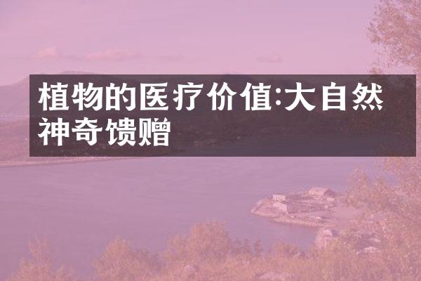 植物的医疗价值:大自然的神奇馈赠
