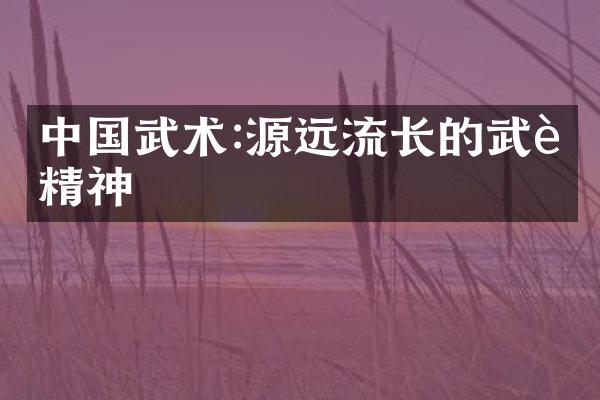 中国武术:源远流长的武艺精神