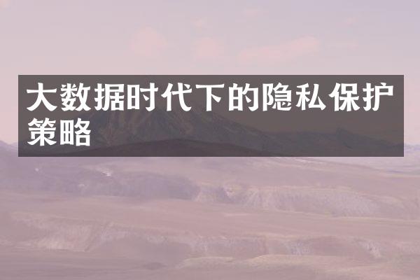 大数据时代下的隐私保护策略