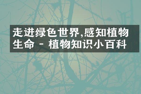 走进绿色世界,感知植物的生命 - 植物知识小百科