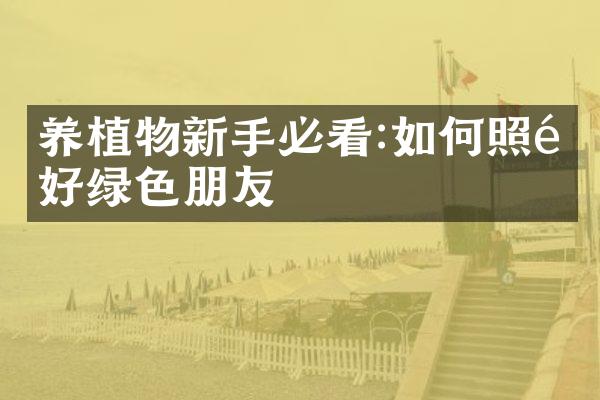 养植物新手必看:如何照顾好绿色朋友